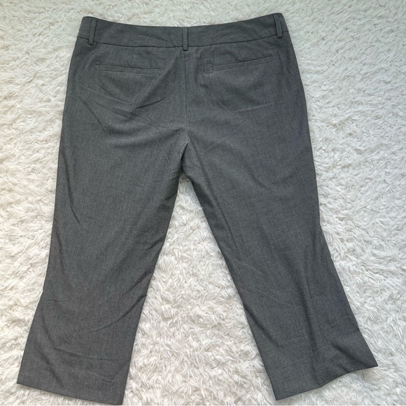 Isaac Mizhari for Target Capri Dress Pants Gray Size 14 Excellent Used Condition - Picture 3 of 4